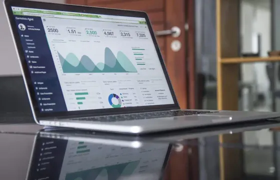 Virtual Finance Director Services